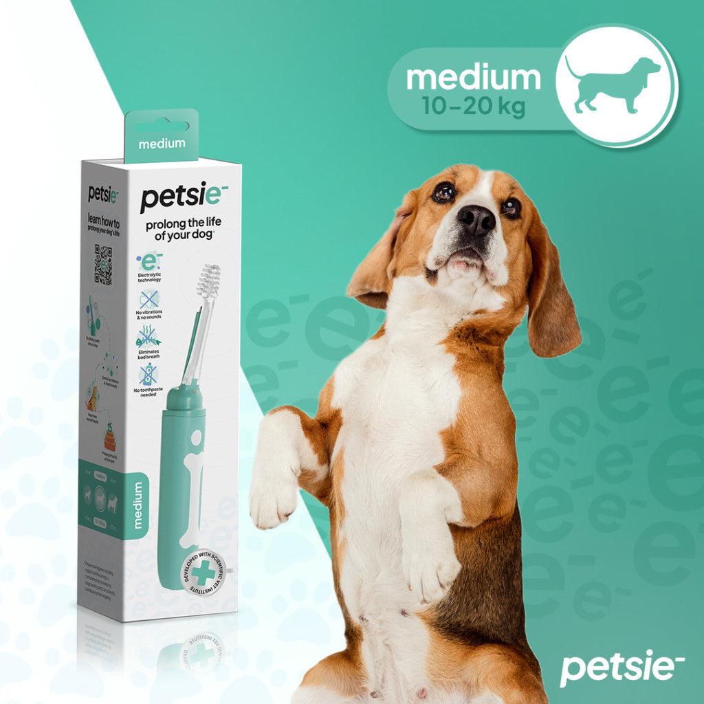 Petsie dog toothbrush (size M 10-20kg)