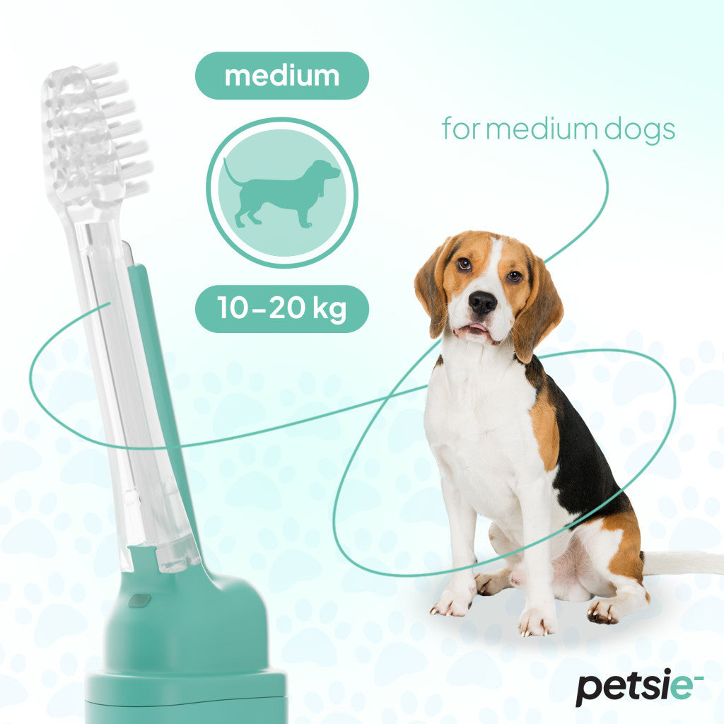 Petsie dog toothbrush (size M 10-20kg)