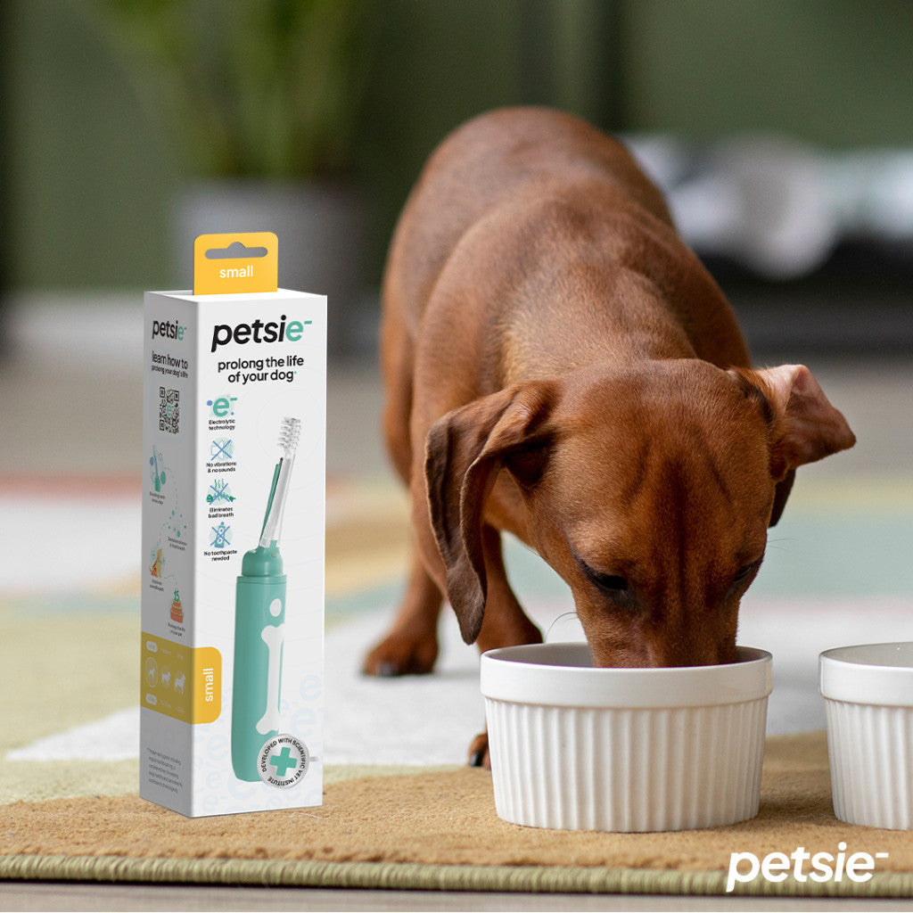 Petsie dog toothbrush (size M 10-20kg)
